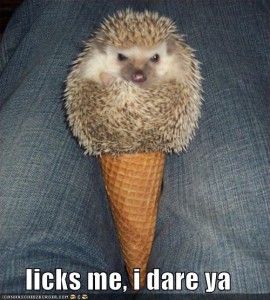 funny-pictures-this-is-not-an-ice-cream-cone