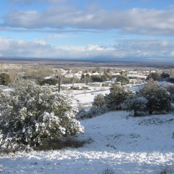 Snowy Horizon