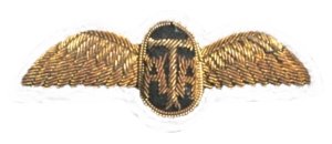 Ata-wings-300