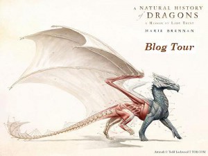 Blog Tour Button for aNHoD