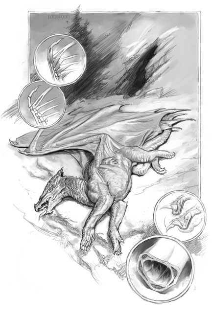 Dead Dragon