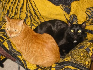Both curled up