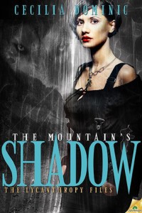 cover_the_mountains_shadow